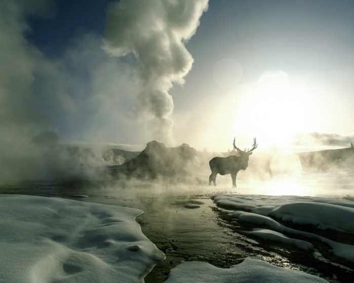 Yellowstone in Winter
