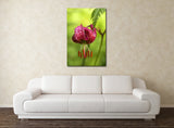 Wild Lily near Wengen, Switzerland! 10234 Flower Wall Art Floral Photo