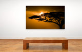 Leopard in an Acacia Tree at Sunset, Kenya 10945