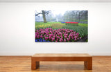 Colorful Flowers and Fountain in Keukenhof Gardens, Holland! 11855