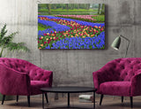 Colorful Flowers in the Park in Keukenhof Gardens, Holland! 11879