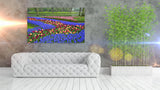 Colorful Flowers in the Park in Keukenhof Gardens, Holland! 11879
