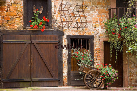 An Intriguing Courtyard in Colmar, France 14005