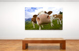 Extreme Closeup of Cow, Maria Alm, Austria 14903 Cow Wall Art