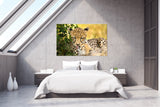Cheetah Mother and Cub, Masai Mara National Park, Kenya! 15182