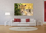 Cheetah Mother and Cub, Masai Mara National Park, Kenya! 15182