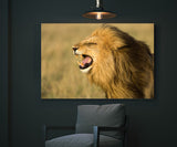 Male Lion Roaring in Masai Mara National Park, Kenya! 15196 Lion Art