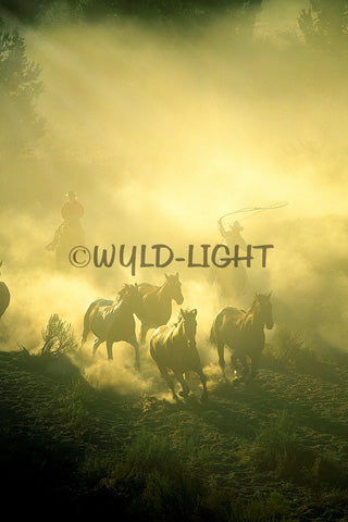Cowboys at Sunrise, Central Oregon 32970 Horse Wall Art Home Decor Art