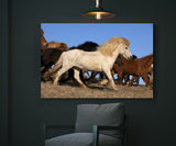 Southern Iceland Horses Galloping Away! 22207 Horse Wall Art