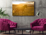 Southern Iceland Horse Enjoying A Sunny Day! 22208 Horse Wall Art