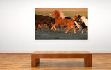 Southern Iceland Horses Galloping Away! 22210 Horse Wall Art