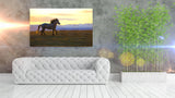 A Horse Enjoying the Meadow in Inner Mongolia, Northern China! 22222