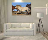 Southern Iceland Horses Running In The Meadow! 22881 Horse Wall Art