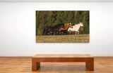 Southern Iceland Horses Running In The Meadow! 22882 Horse Wall Art