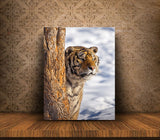 Siberian Tiger Hiding Behind a Tree In Northeast China 25493 Tiger Art
