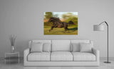 Lusitano Stallion in Provence, France! 27106 Horse Art Home Decor Art