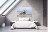 Beautiful White Stallion Horses in Provence, France! 27108 Horse Art