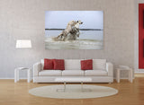 Beautiful White Stallion Horses in Provence, France! 27108 Horse Art