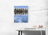 White Horses of Camargue, Provence, France! 27149 Horse Wall Art