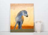 White Horse of the Camargue, Provence, France! 28408