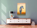 White Horse of the Camargue, Provence, France! 28408