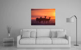 Sika Deer at Sunrise, Nemuro, Hokkaido Island, Japan! 30587 Deer Art