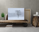 Snowstorm, Hokkaido Island, Japan! 30620 Modern Photography