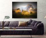 Painting Of Beautiful White Horse in Provence, France! 33024