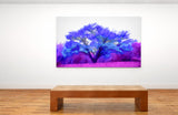 Painterly Cherry Tree, Middle Tennessee 33059