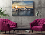White Horses of the Camargue, St. Marie de la Mer, France! 35016