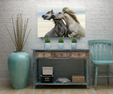 Stallions Playing, St. Marie de la Mer, France! 35023 Horse Art