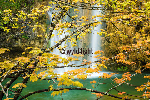 Plitvice Lakes National Park Waterfall Through Foliage, Croatia 35120