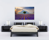 Lavender Fields, Provance, France! 36620 Home Decor Art