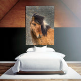 Beautiful Brown Horse Closeup Shot In Southern Iceland 37420 Horse Art