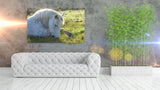 Beautiful White Horse Eating Grass in Provence, France 37452 Horse Art