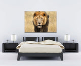 A Lion Captured in Northeast China! 37784 Lion Wall Art Home Decor Art