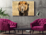 A Lion Captured in Northeast China! 37784 Lion Wall Art Home Decor Art
