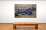 A Herd of Horses Marching in Inner Mongolia, Northern China! 38445