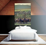 Large Group of Horses on a March In Northern China! 38460 Horse Art
