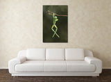 Spotted Glass Frog, Costa Rica 39069
