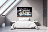 Siberian Huskies and Friends! 39692