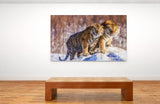 Siberian Tigers Enjoying the Snow in Northeast China! 39715