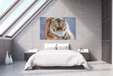 Siberian Tiger near Hailin, China! 39716