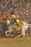 Horsemanship Hollamohallo festival, Anandpursahib, Punjab, India 11783