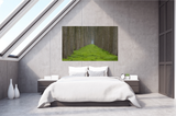 Rows of Trees Separated by Lush Green Grass near Brugge, Belgium 31424
