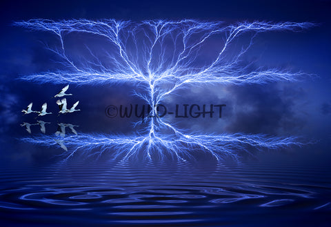 Dendritic Lightning Pattern 39215