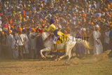 Horsemanship Hollamohallo festival, Anandpursahib, Punjab, India 11783
