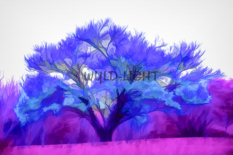 Painterly Cherry Tree, Middle Tennessee 33059