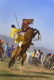 Horsemanship Hollamohallo festival, Anandpursahib, Punjab, India 11600