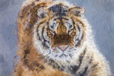 Siberian Tiger near Hailin, China! 39716